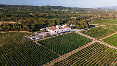 Espai Xocolata & Celler Nadal