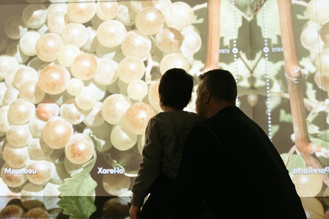 La visita al Cava Centre